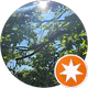 ŞİİRHANE profil fotoğrafı